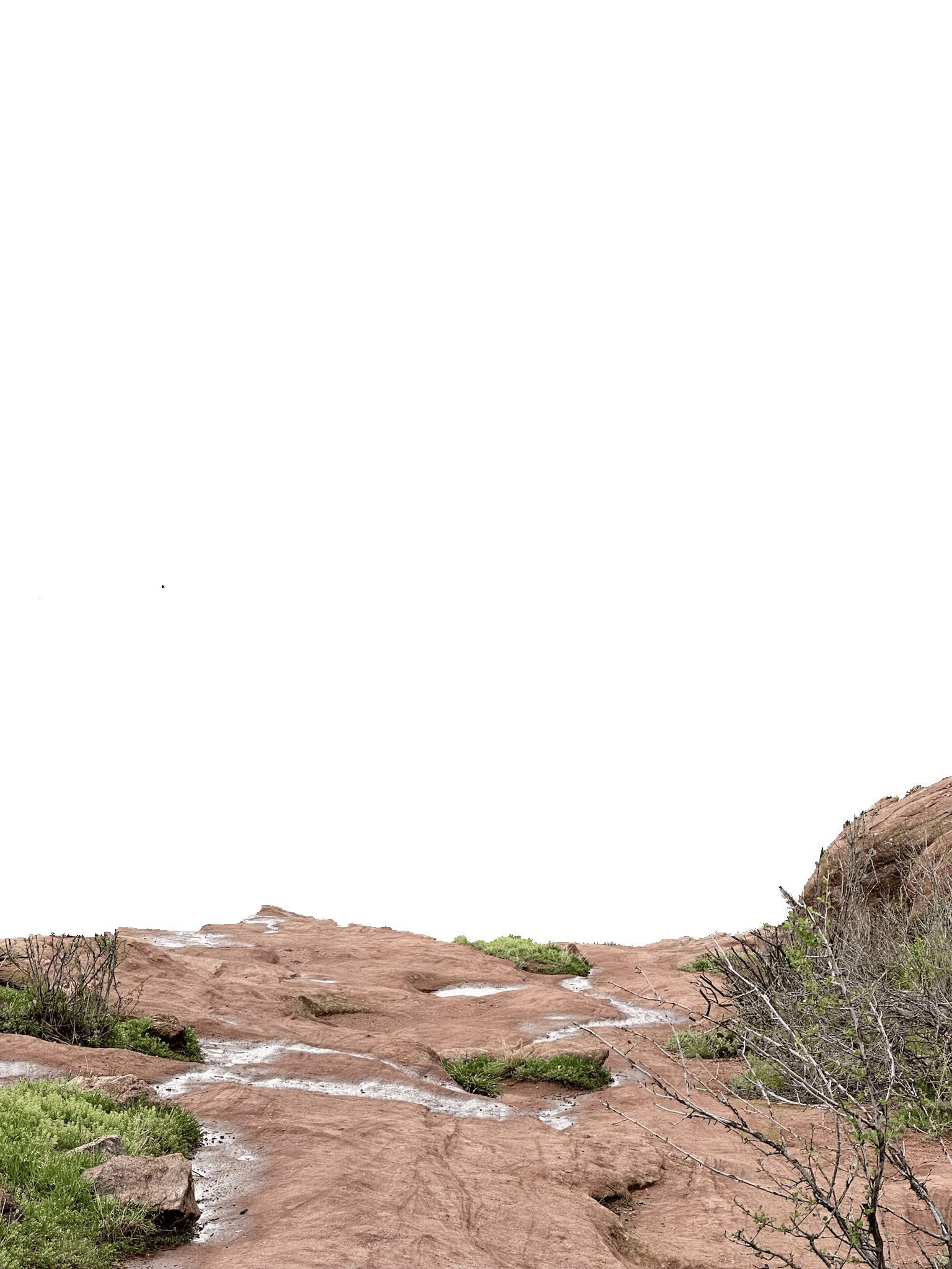 Foreground trail surface